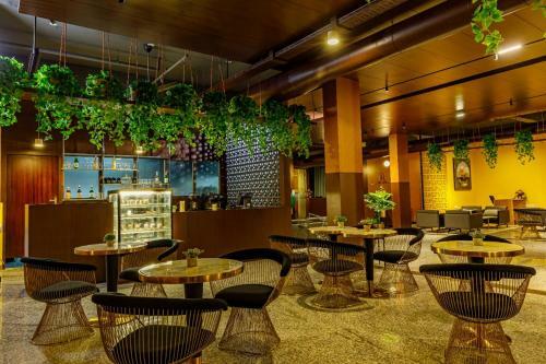 Hotel Benale International