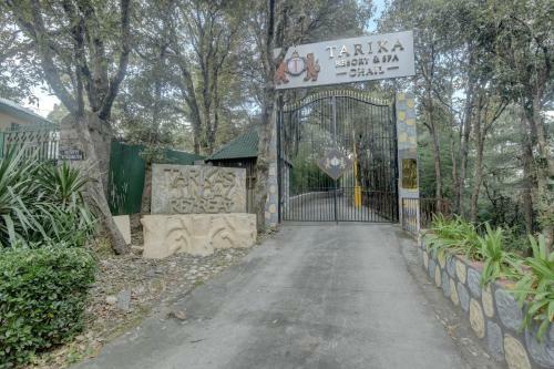 Hotel Tarika Resort & Spa - Chail