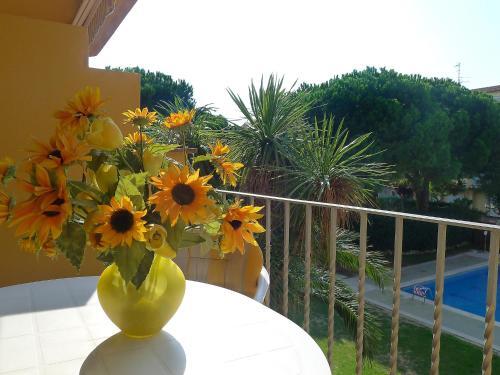 Apartment Gran Reserva-10