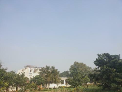Agroturismo Peacefull Farm