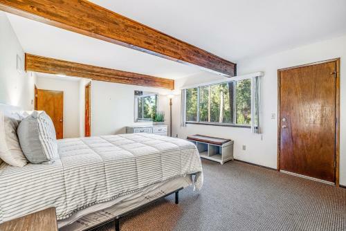 Redwood Escape