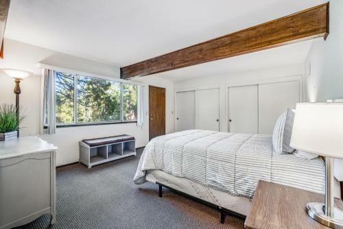 Redwood Escape