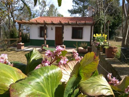 Apartamento Casa Balbina