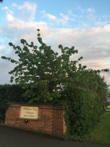 Hostal Willow Tree Cottages