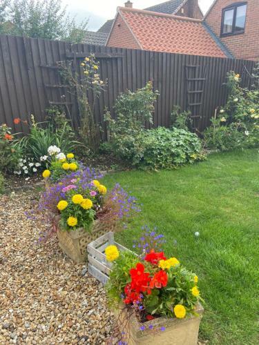 Hostal Willow Tree Cottages