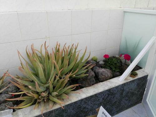 Apartamento Tenerife Pearl