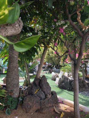 Apartamento Parque Santiago III Wonderland