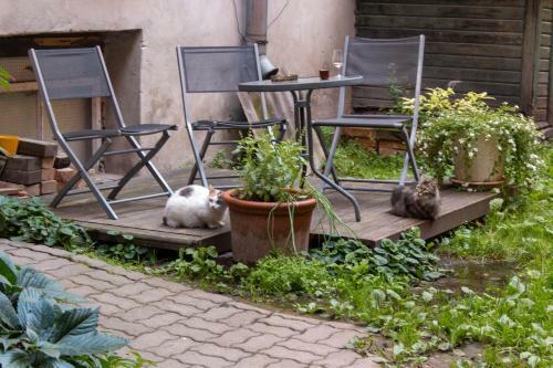 Bohemian Hideout, Old Town - Tartu Home Apartments