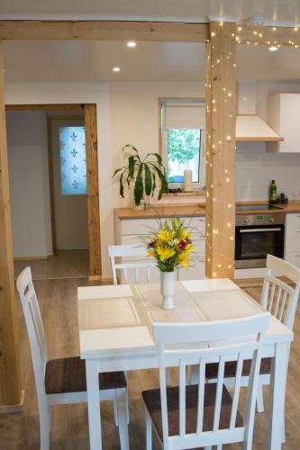 Liisupesa Apartment With Sauna And Garden