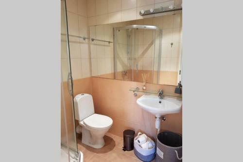 P�rnu River And Central City View Apartment