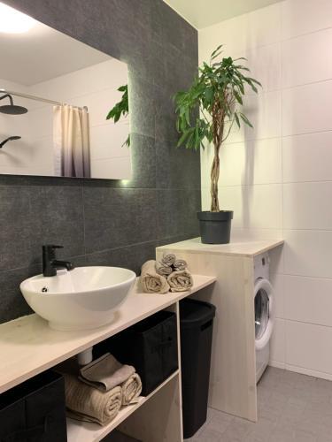 Apartment Riia Mnt 88