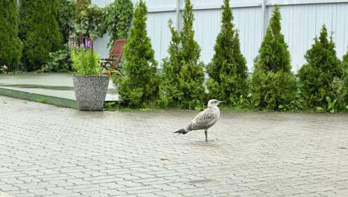 Tallinn Apartments K8 Free Parking