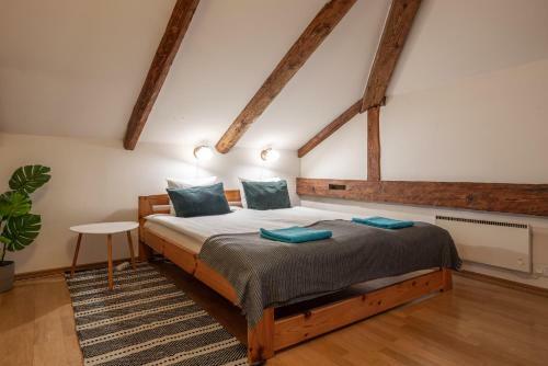 Old Town - Vana Viru Apartment