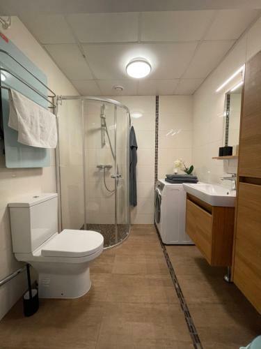 Viru Stylish Apartment