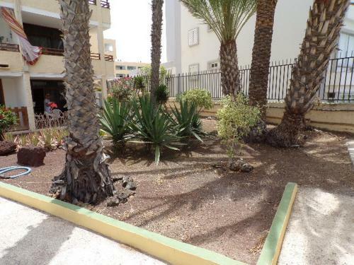 Apartamento Los Juncos 403 Playa Del Ingl�s