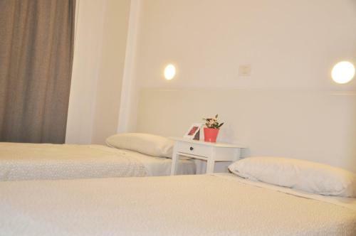 Las Camelias Apartments - B14