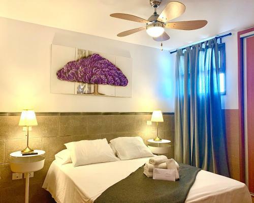 Coconut Friendly Apartment