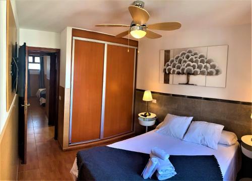 Coconut Friendly Apartment