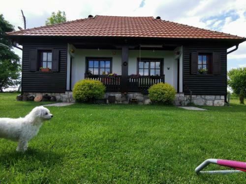 Elderflower Villa # Ranc Zova# Zlatibor