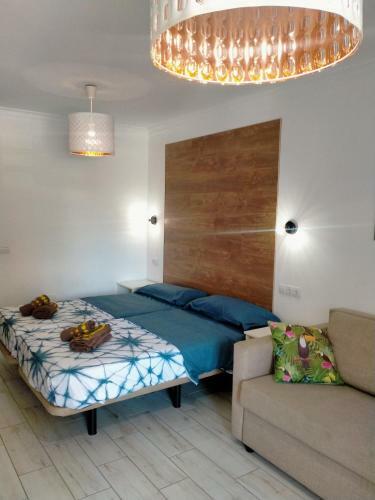 Apartamento Danubio Studio