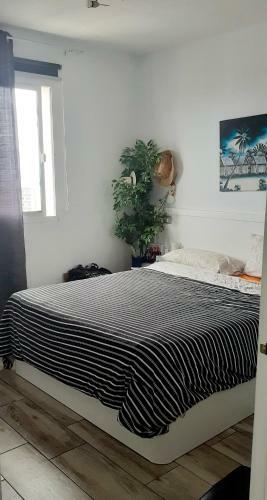 Apartamento Green P. Playa Del Ingles