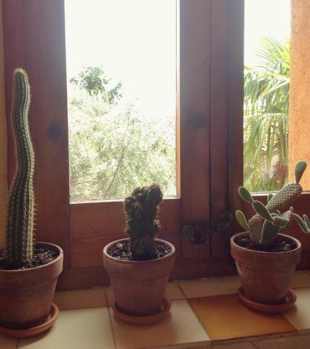Apartamento La Costa