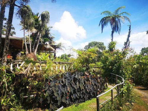 Casa M�ndez B&B