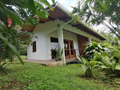 Bed & Breakfast La Ceiba Tree Lodge