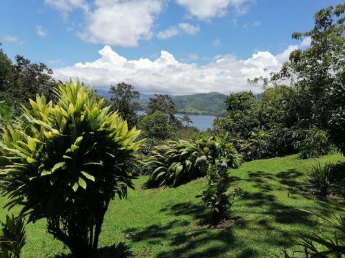 Bed & Breakfast La Ceiba Tree Lodge