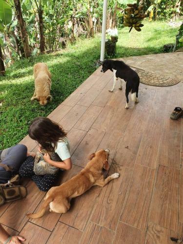 Lodge Finca Soley