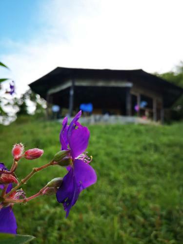Esplendor Lookout And Campsite