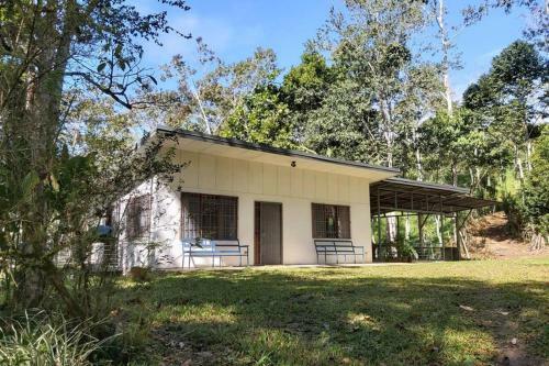 The Calm House