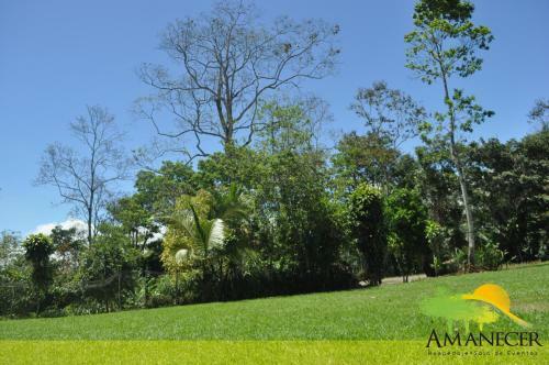 Bed & Breakfast Hospedaje Amanecer