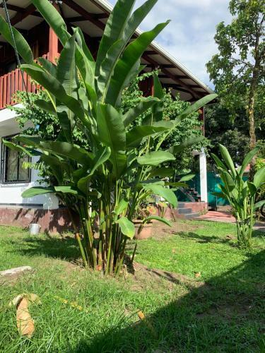 Apartamento Budda Home
