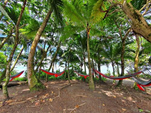 Apartamento Caribbean View