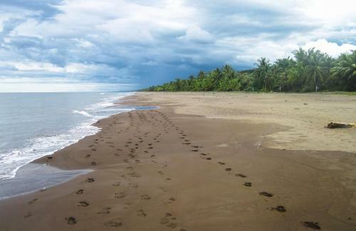 Apartamento Caribbean View