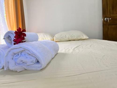 Hostal Natural Experience House