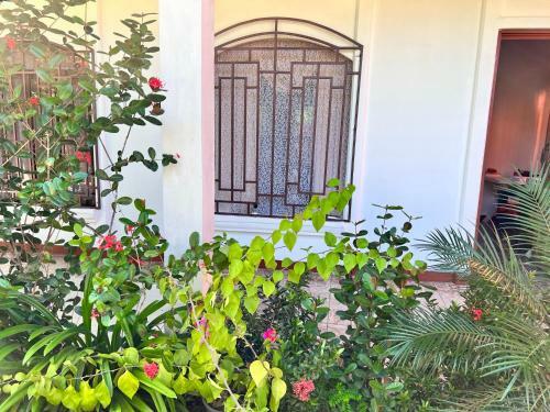 Hostal Natural Experience House