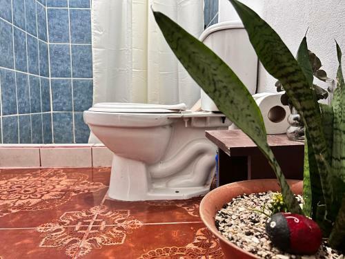 Hostal Natural Experience House