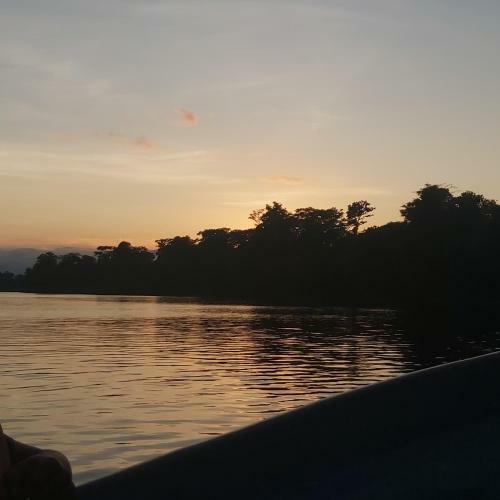 Posada Caba�as Daneysha Tortuguero