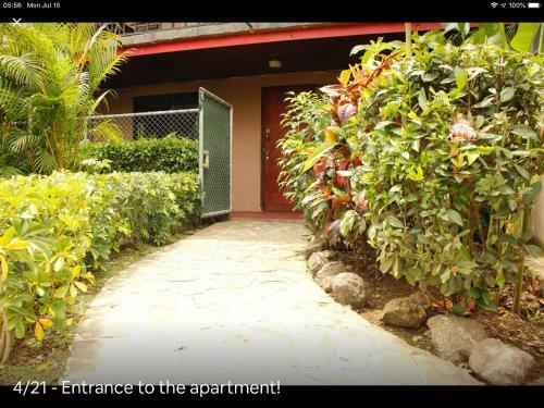 Apartamento Todo Equipado Con Piscina Wifi 200 Mpbs
