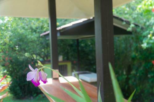 Villa Walk To The Beach, Chill By The Pool. Casa Sol!