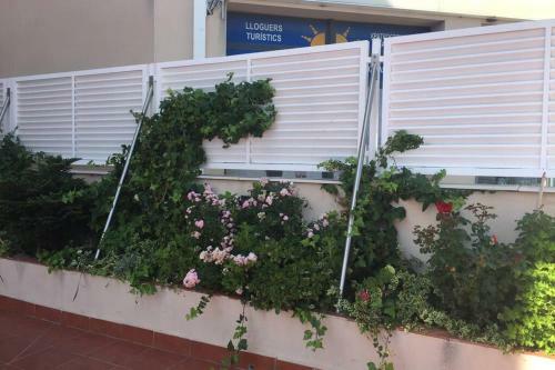 Apartamento Muy Cerca de La Playa Gran Piscina Wifi Gratis