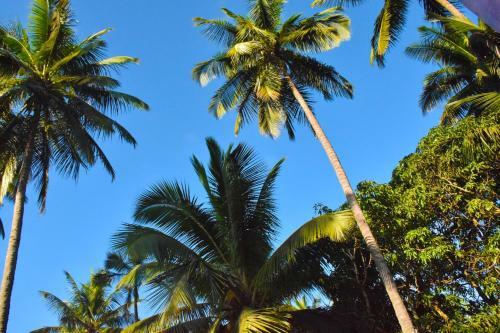 Hostal Pebble Bay Home Stay