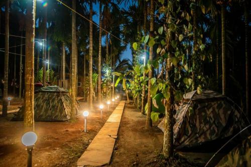 Dandeli Packages