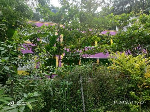 Dandeli Jungle Homestay