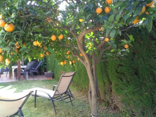 Villa Doree 207