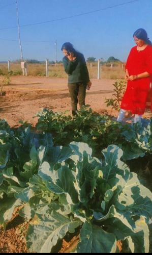 Esha Farm,s