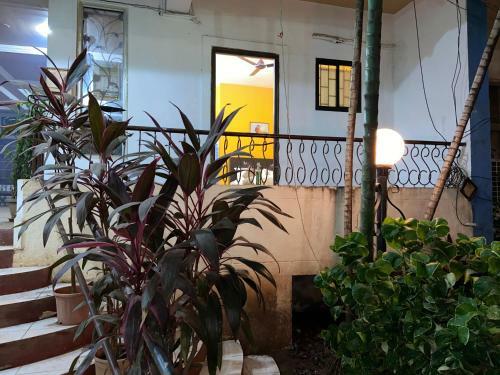 Hostal Sunny's Guest House