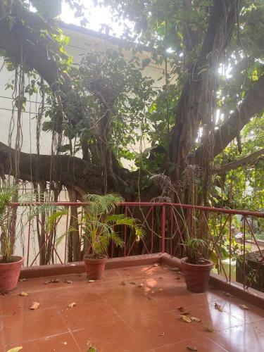 Calangute Holiday Apartment